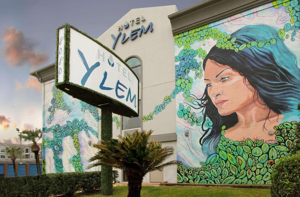 Ylem Houston