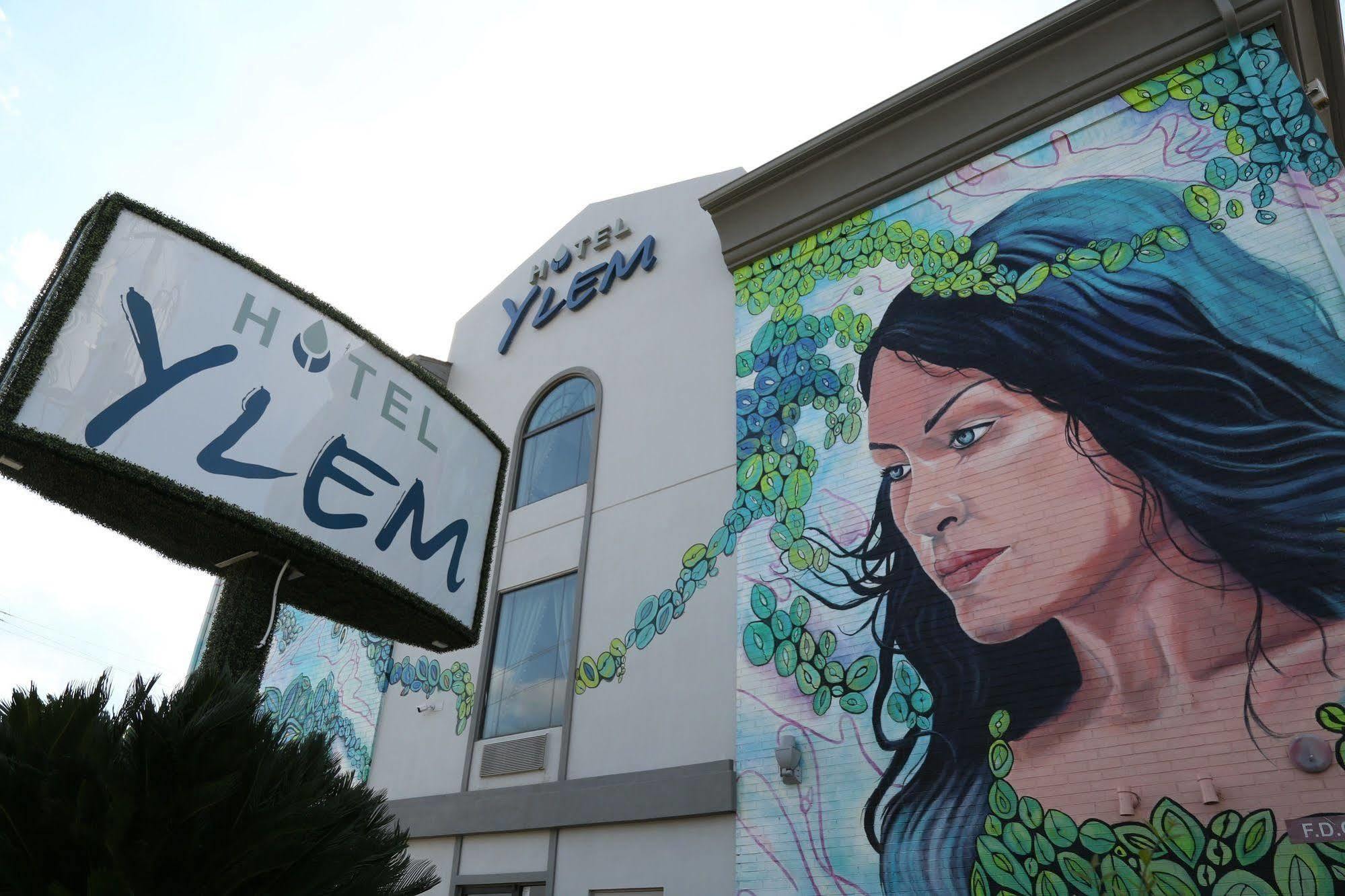 Hotel Ylem